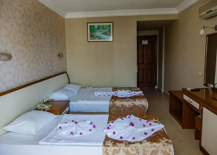 King As アランヤ